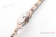 New 2024 Swiss Made Cartier new Ballon Bleu 33mm 2-T Rose Gold Silver Dial (6)_th.jpg